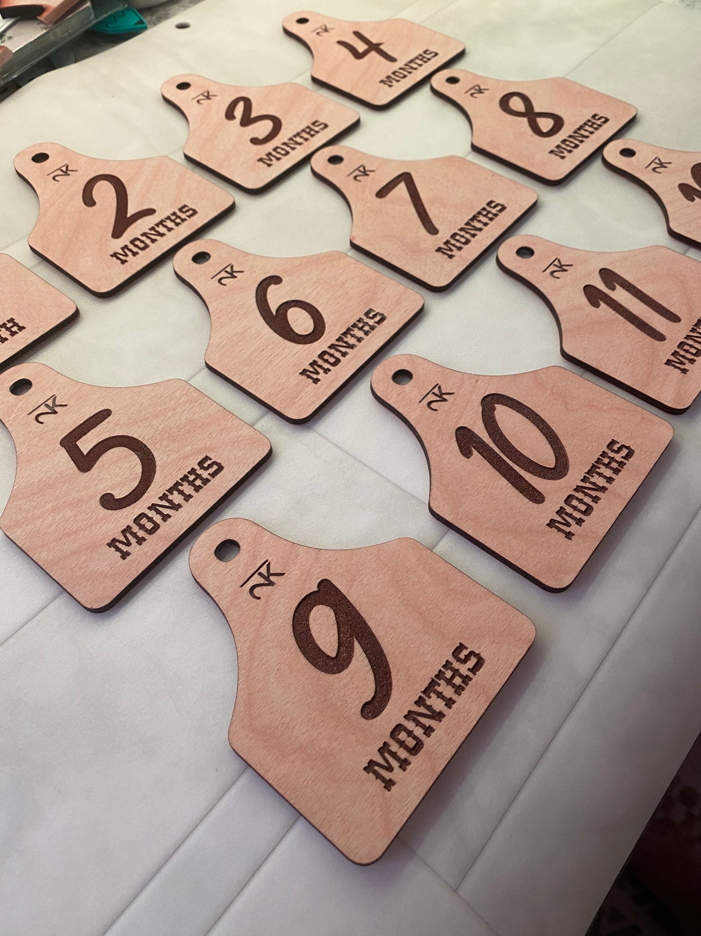 Monthly Cattle Tag