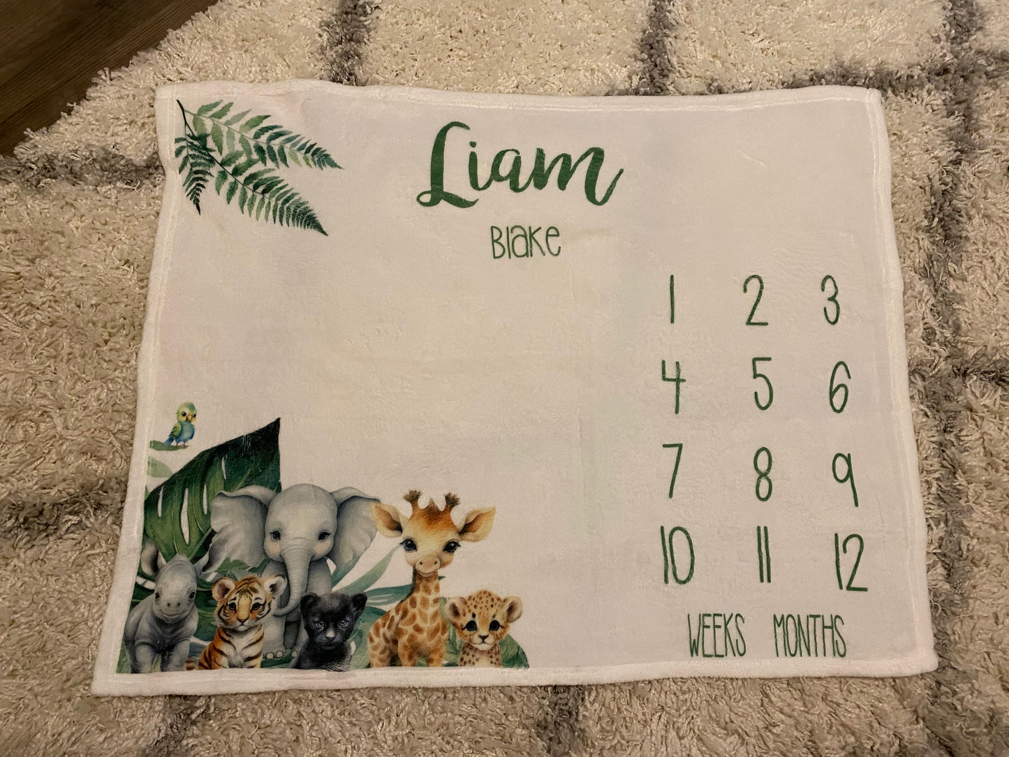 Milestone Baby Blanket