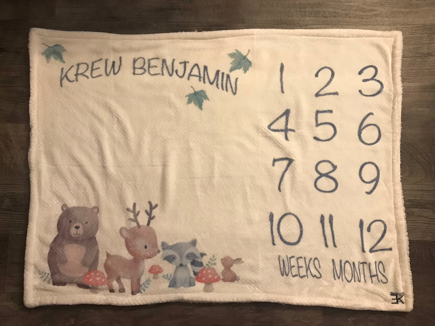 Milestone Baby Blanket